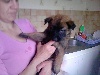 CHIOT