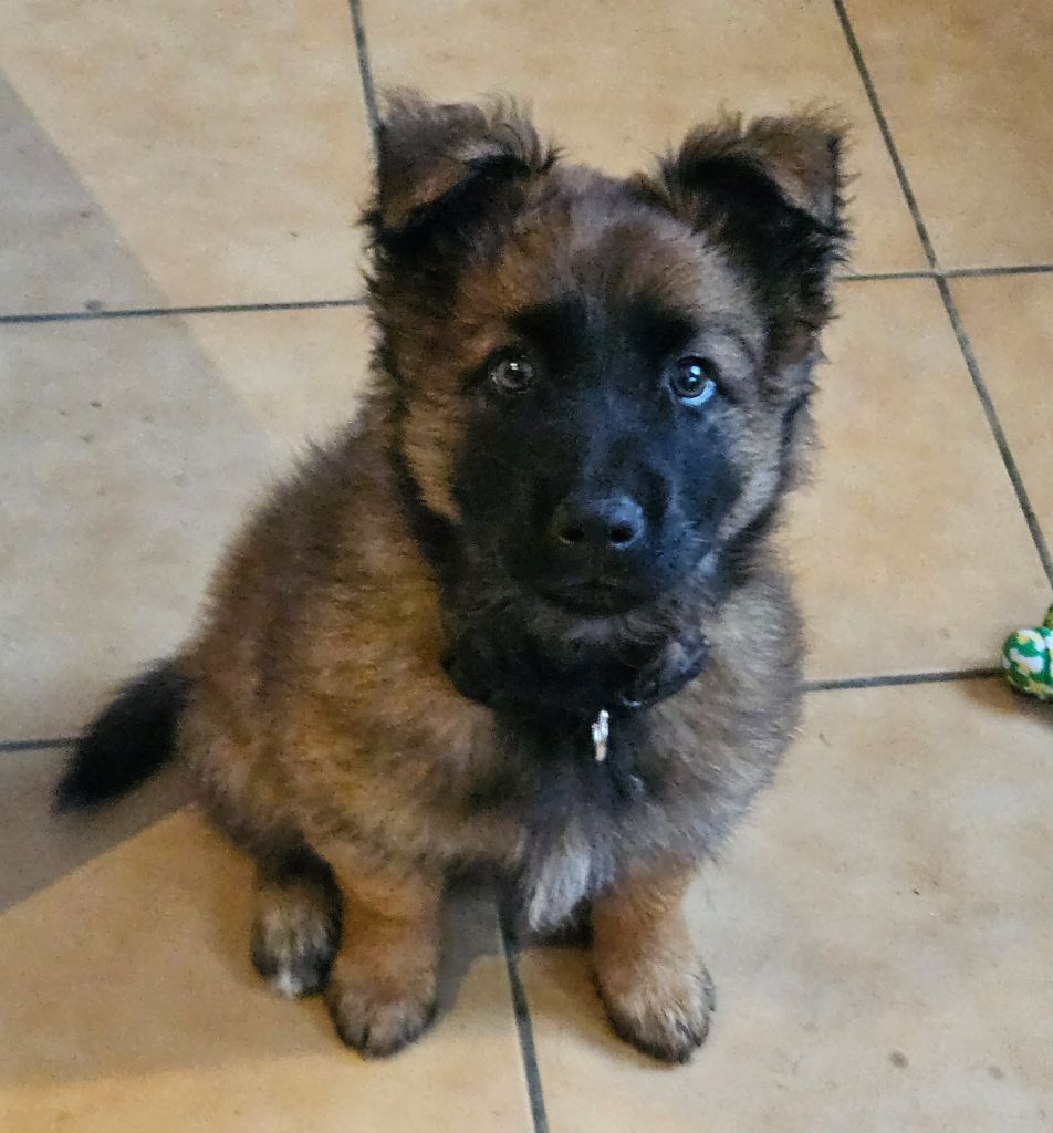 Akhenaton du mont sainte hélène