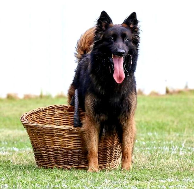 Ntm du domaine d'anouck